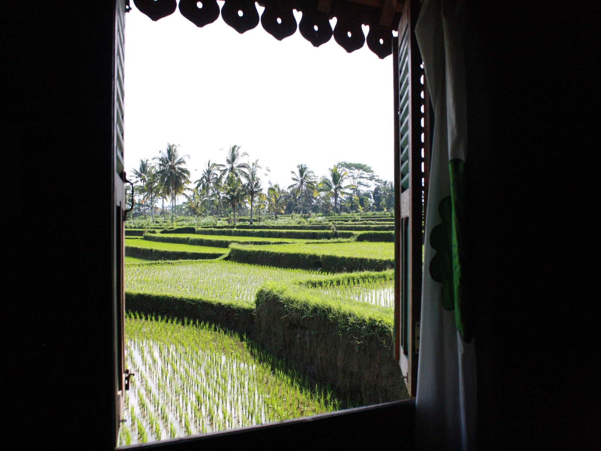 Bed & Breakfast Hati Padi Ubud (Bali)