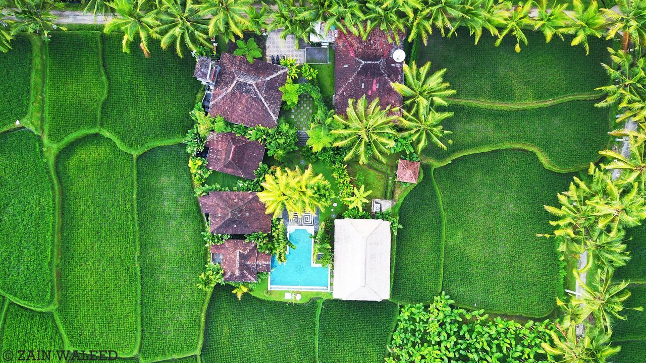 Hati Padi Frühstückspension Ubud
